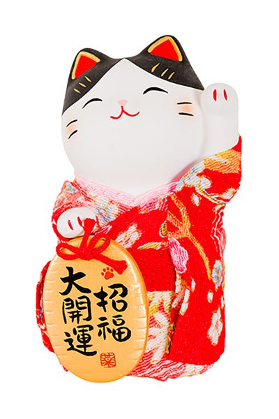 Maneki neko on a white background